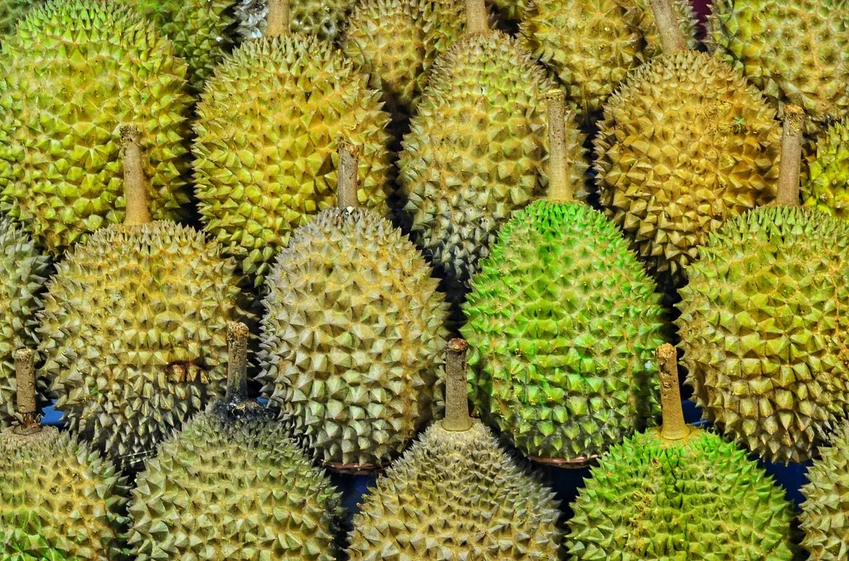 A Defence of the Durian, By One Who Doesn't Eat It