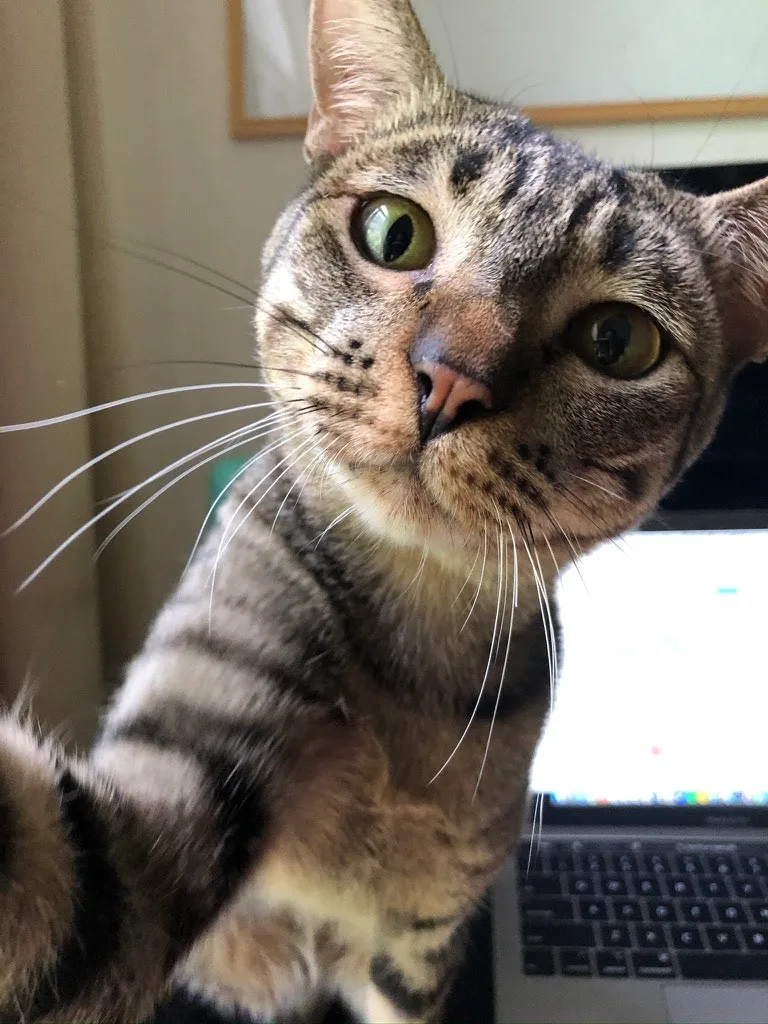 We, The Citizens, during tough times