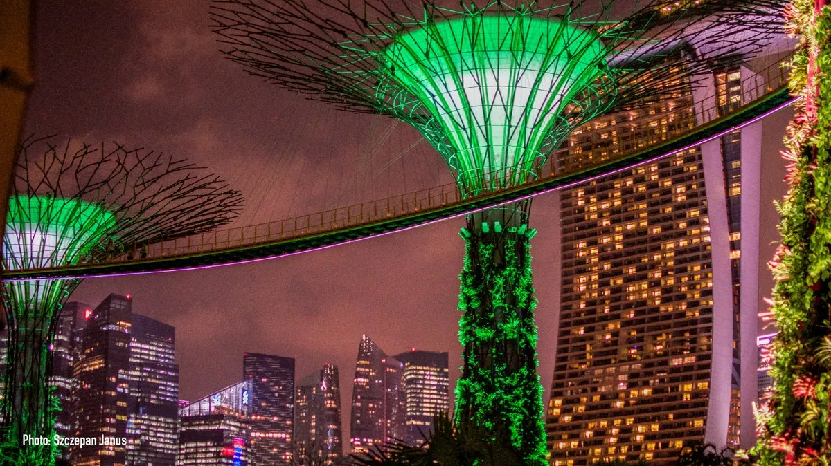 Singapore, the "fake news" law, and civil society's shrinking space