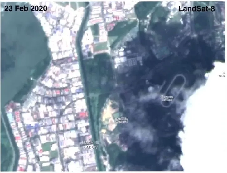 #ThatAwkwardMoment when you "erroneously" chop down a forest